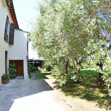 Casa Romana 维亚雷焦 外观 照片